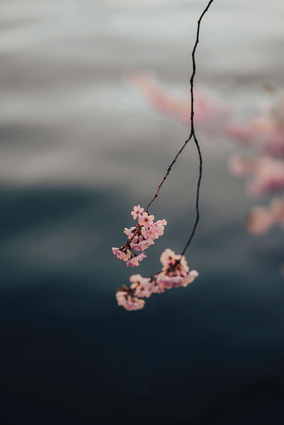 不是一切的“神力”都会出奇观